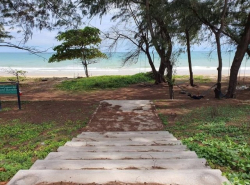 ขายด่วน! ที่ดินสวย เลียบชายหาดแม่รำพึง ตะพง เมืองระยอง TP-L0574