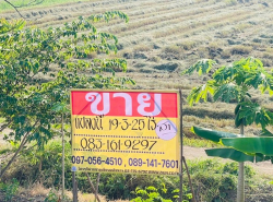 ขายที่นา ทำเลดี ราคาถูก 19-3-25 ไร่  อ.เมือง จ.พิษณุโลก  ZK382