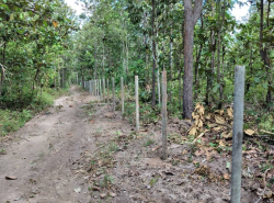 รถมือสอง อสังหาริมทรัพย์ ที่ดิน ปี 0 