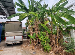 รถมือสอง อสังหาริมทรัพย์ ที่ดิน ปี 0 