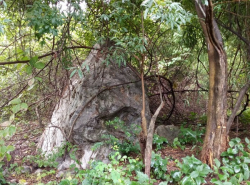 รถมือสอง อสังหาริมทรัพย์ ที่ดิน ปี 0 