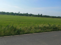 รถมือสอง อสังหาริมทรัพย์ ที่ดิน ปี 0 