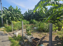 รถมือสอง อสังหาริมทรัพย์ ที่ดิน ปี 0 