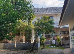 ขายบ้าน 2 หลัง ในตัวเมืองเชียงใหม่ ตำบลป่าแดด อำเภอเมืองเชียงใหม่ จังหวัดเชียงใหม่ บนเนื้อที่ 337 ตารางวา 