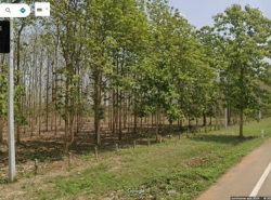 รถมือสอง อสังหาริมทรัพย์ ที่ดิน ปี 0 