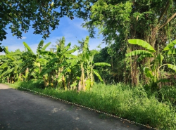 อสังหาริมทรัพย์ - ที่ดิน