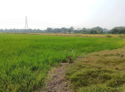 รถมือสอง อสังหาริมทรัพย์ ที่ดิน ปี 0 