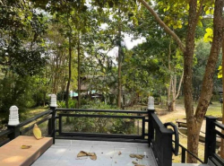 รถมือสอง อสังหาริมทรัพย์ ที่ดิน ปี 0 