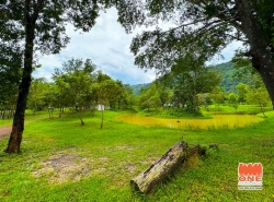ขายที่ดินพัฒนาแล้ว ติดเขาใหญ่ 38 ไร่ บรรยากาศดีมาก วิวสวย พร้อมน้ำตก ไม้ป่าและไม้มงคล น้ำ-ไฟพร้อม, ปราจีนบุรี