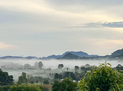 รถมือสอง อสังหาริมทรัพย์ ที่ดิน ปี 0 