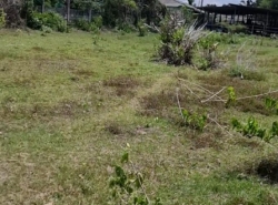 รถมือสอง อสังหาริมทรัพย์ ที่ดิน ปี 0 