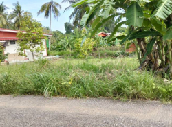 รถมือสอง อสังหาริมทรัพย์ ที่ดิน ปี 0 
