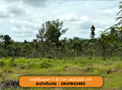 รถมือสอง อสังหาริมทรัพย์ ที่ดิน ปี 0 