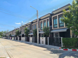 ให้เช่าทาวน์โฮม 2 ห้องนอน 2 ห้องน้ำ พลีโน่ สุขุมวิท - บางนา 