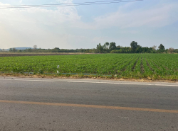 รถมือสอง อสังหาริมทรัพย์ ที่ดิน ปี 0 