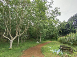 อสังหาริมทรัพย์ - ที่ดิน