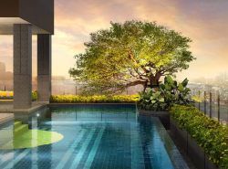 ขายด่วน 1 ห้องนอน 1 ห้องน้ำ ขนาด 29.16  ตร.ม.  Condo NIA by Sansiri