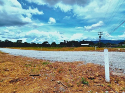 รถมือสอง อสังหาริมทรัพย์ ที่ดิน ปี 0 