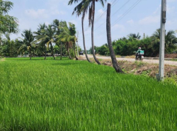 รถมือสอง อสังหาริมทรัพย์ ที่ดิน ปี 0 