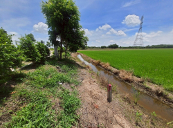 อสังหาริมทรัพย์ - ที่ดิน