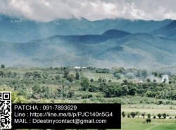 ขายที่ดินสวนลำไย พร้อมบ้านพักตากอากาศ อ.แม่แตง จ.เชียงใหม่