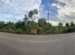 รถมือสอง อสังหาริมทรัพย์ ที่ดิน ปี 0 