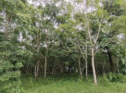 รถมือสอง อสังหาริมทรัพย์ ที่ดิน ปี 0 