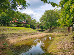 รถมือสอง อสังหาริมทรัพย์ ที่ดิน ปี 0 