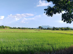 รถมือสอง อสังหาริมทรัพย์ ที่ดิน ปี 0 