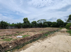 รถมือสอง อสังหาริมทรัพย์ ที่ดิน ปี 0 