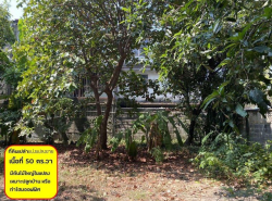 รถมือสอง อสังหาริมทรัพย์ ที่ดิน ปี 0 