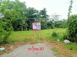 รถมือสอง อสังหาริมทรัพย์ ที่ดิน ปี 0 