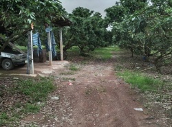 รถมือสอง อสังหาริมทรัพย์ ที่ดิน ปี 0 