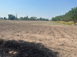 รถมือสอง อสังหาริมทรัพย์ ที่ดิน ปี 0 