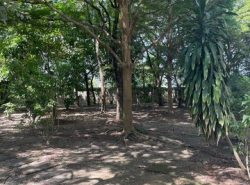 อสังหาริมทรัพย์ - ที่ดิน