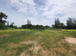 รถมือสอง อสังหาริมทรัพย์ ที่ดิน ปี 0 