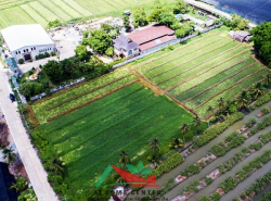 รถมือสอง อสังหาริมทรัพย์ ที่ดิน ปี 0 