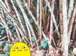 รถมือสอง อสังหาริมทรัพย์ บ้าน ปี 0 