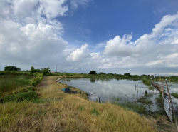 รถมือสอง อสังหาริมทรัพย์ ที่ดิน ปี 0 