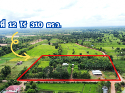 ขาย ที่ดิน ขนาดใหญ่ เหมาะสำหรับซื้อลงทุน 12 ไร่ 310 ตรว