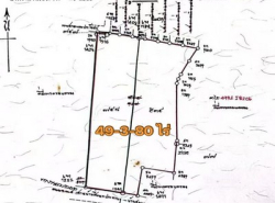 ขายที่ดินเปล่าเกือบ 50ไร่ ติดถนนใหญ่ สายบ้านสี่แยกประจวบคีรีขันธ์ - บ้านชุมนุมมะละกอ อ.ประจวบฯ ใกล้แม็คโคร-โลตัส