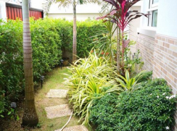 For Rent : Kathu, Single-story detached house, 3 Bedrooms 2 Bathrooms