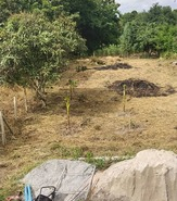 รถมือสอง อสังหาริมทรัพย์ ที่ดิน ปี 0 