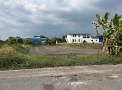 รถมือสอง อสังหาริมทรัพย์ ที่ดิน ปี 0 