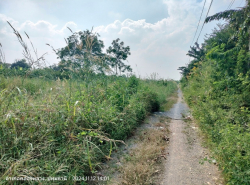 รถมือสอง อสังหาริมทรัพย์ ที่ดิน ปี 0 