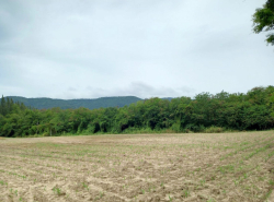 รถมือสอง อสังหาริมทรัพย์ ที่ดิน ปี 0 