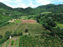 รถมือสอง อสังหาริมทรัพย์ ที่ดิน ปี 0 