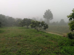 อสังหาริมทรัพย์ - ที่ดิน
