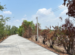 อสังหาริมทรัพย์ - ที่ดิน