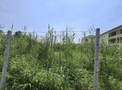 รถมือสอง อสังหาริมทรัพย์ ที่ดิน ปี 0 